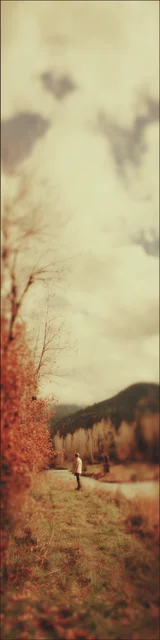 Free aesthetic bookmark featuring fall colors